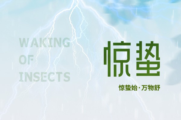 時至驚蟄 | 春雷始鳴，萬物生機盎然